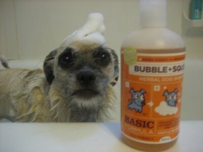 green dog shampoo